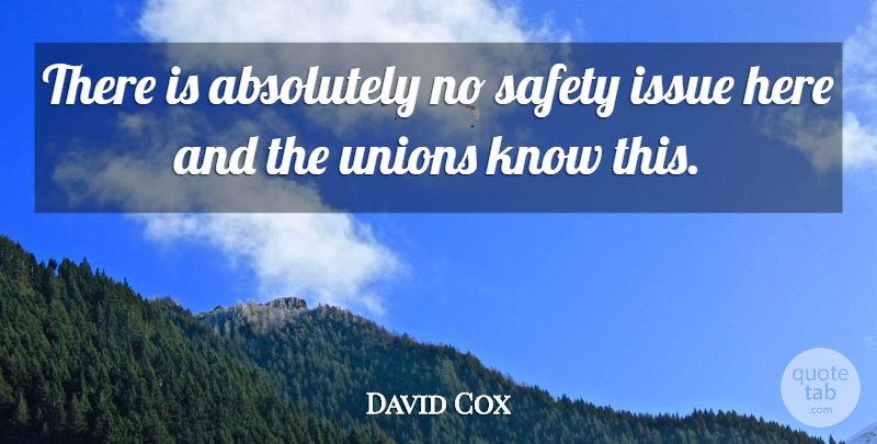 David Cox Quote About Absolutely, Issue, Safety, Unions: There Is Absolutely No Safety...