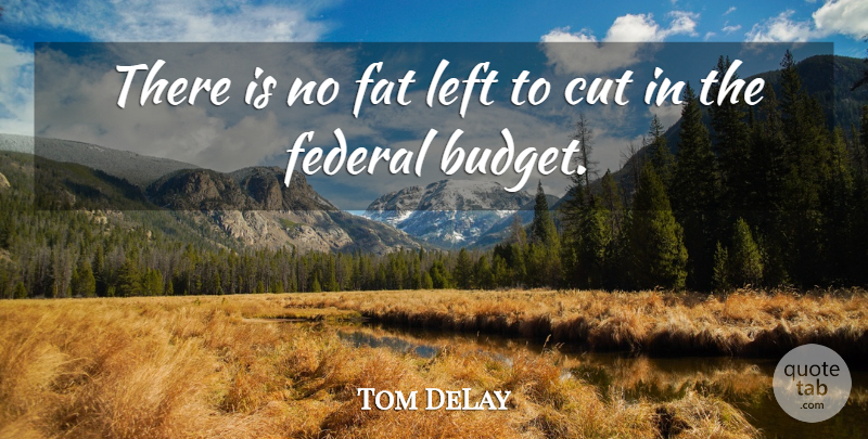 Tom DeLay Quote About Budgets, Cut, Fat, Federal, Left: There Is No Fat Left...