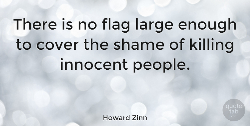 Howard Zinn Quote About Peace, War, Patriotic: There Is No Flag Large...