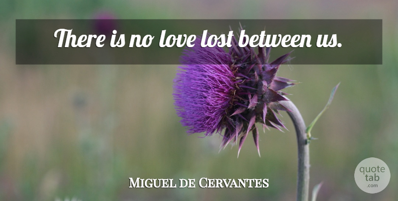 Miguel de Cervantes Quote About Lost Love, Confusion, No Love Lost: There Is No Love Lost...