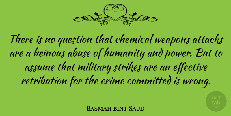Basmah bint Saud Quote About Abuse, Assume, Attacks, Chemical, Committed: There Is No Question That...