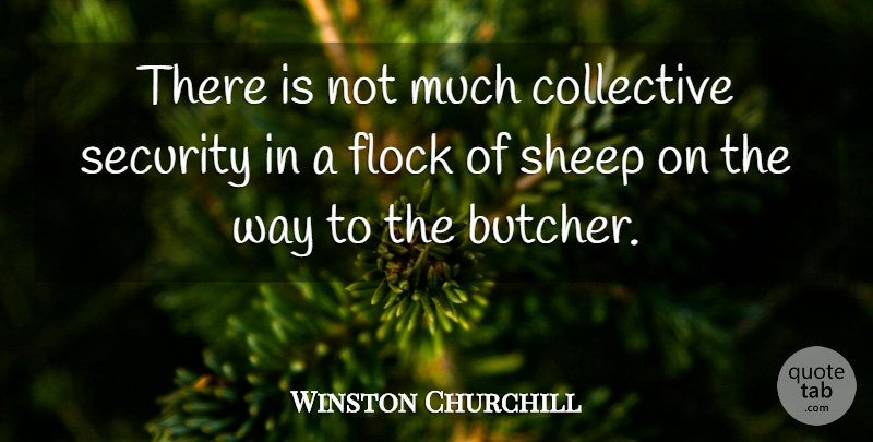 Winston Churchill Quote About Sheep, Way, Butchers: There Is Not Much Collective...
