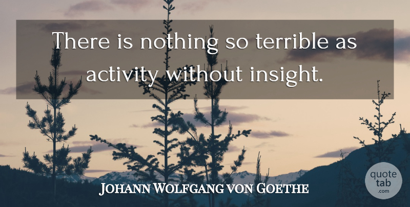 Johann Wolfgang von Goethe Quote About Terrible, Insight, Activity: There Is Nothing So Terrible...