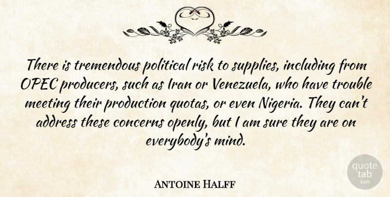 Antoine Halff Quote About Address, Concerns, Including, Iran, Meeting: There Is Tremendous Political Risk...