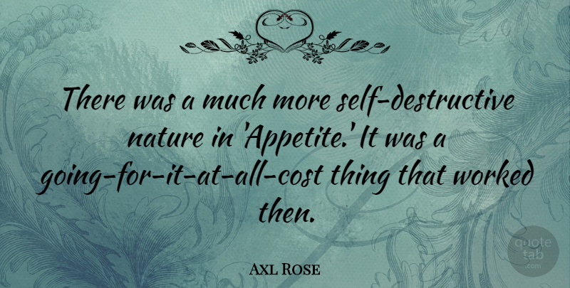 Axl Rose Quote About Self, Going For It, Cost: There Was A Much More...