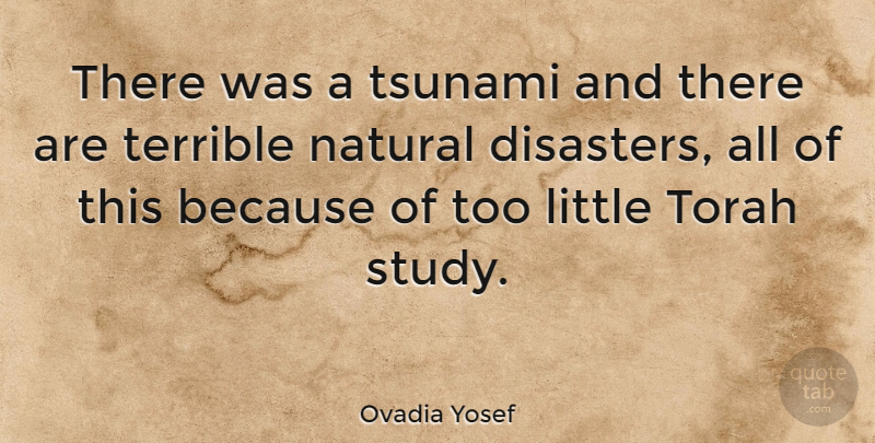 Ovadia Yosef Quote About Littles, Study, Natural: There Was A Tsunami And...