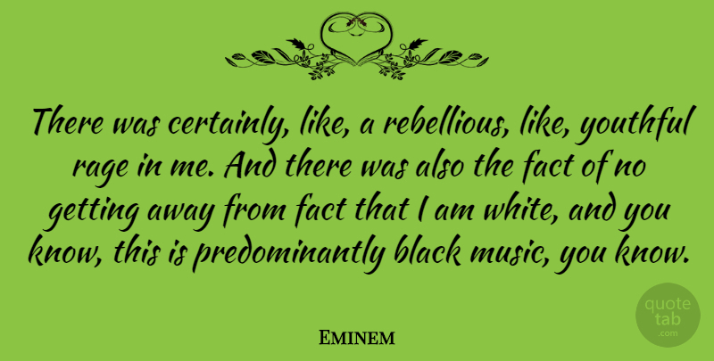 Eminem Quote About Fact, Music, Rage, Youthful: There Was Certainly Like A...