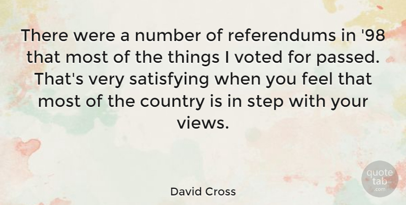 David Cross Quote About Country, Numbers, Views: There Were A Number Of...