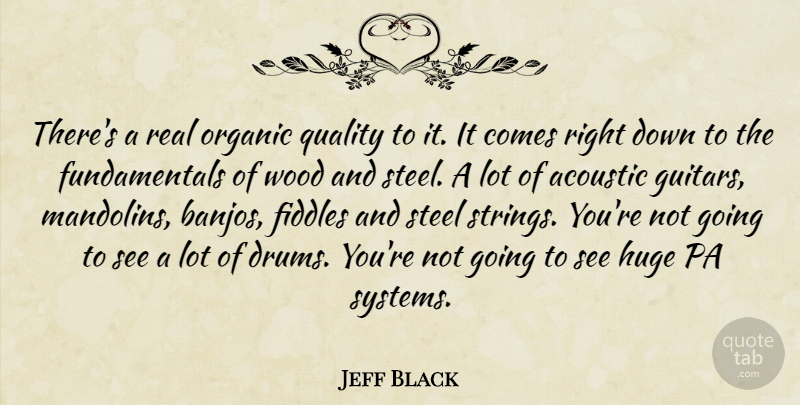 Jeff Black Quote About Acoustic, Huge, Organic, Quality, Steel: Theres A Real Organic Quality...