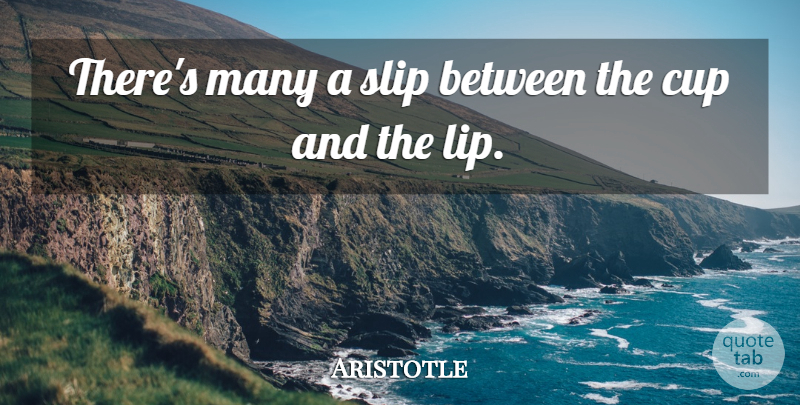 Aristotle Quote About Lips, Cups, Slips: Theres Many A Slip Between...