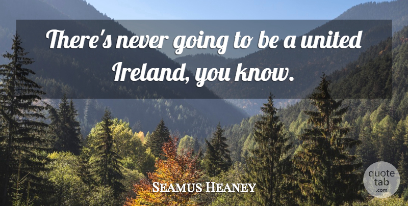 Seamus Heaney Quote About undefined: Theres Never Going To Be...