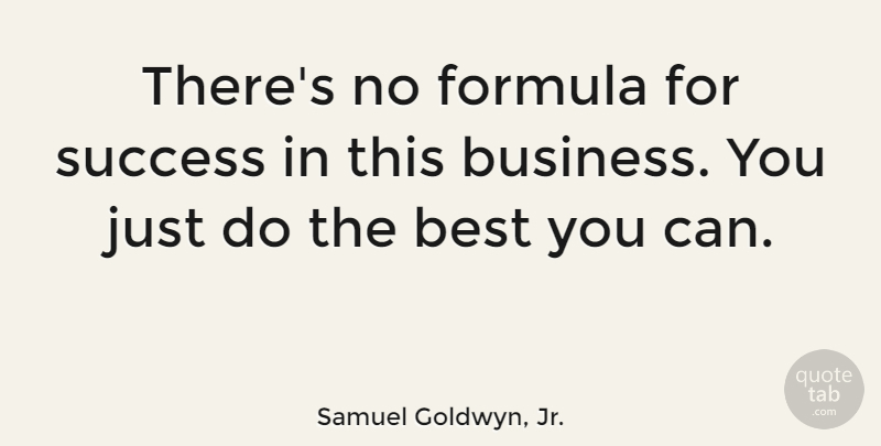 Samuel Goldwyn, Jr. Quote About Best, Business, Formula, Success: Theres No Formula For Success...
