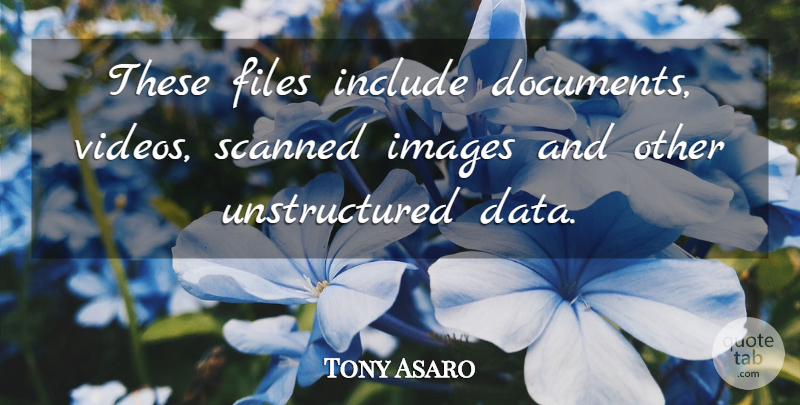 Tony Asaro Quote About Files, Images, Include: These Files Include Documents Videos...