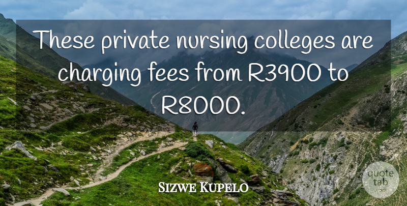 Sizwe Kupelo Quote About Colleges, Nursing, Private: These Private Nursing Colleges Are...