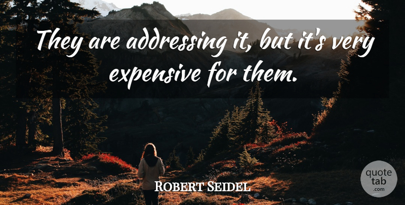 Robert Seidel Quote About Addressing, Expensive: They Are Addressing It But...