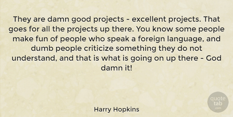Harry Hopkins Quote About Criticize, Damn, Dumb, Excellent, Foreign: They Are Damn Good Projects...