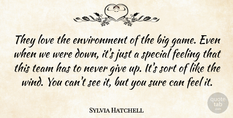 Sylvia Hatchell Quote About Environment, Feeling, Love, Sort, Special: They Love The Environment Of...