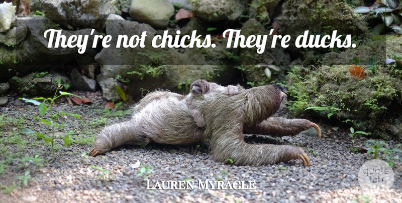 Lauren Myracle Quote About Ducks, Chicks: Theyre Not Chicks Theyre Ducks...