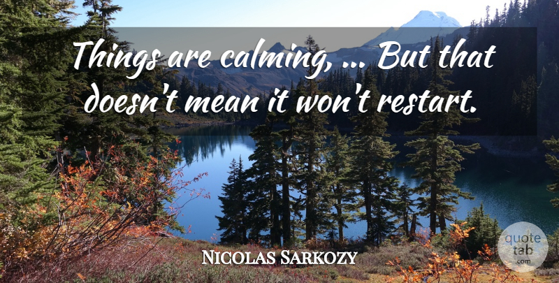 Nicolas Sarkozy Quote About Mean: Things Are Calming But That...