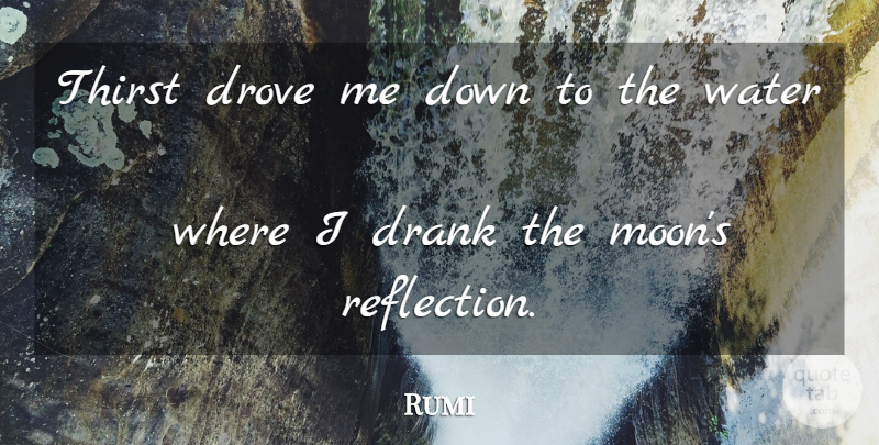 Rumi Quote About Moon, Reflection, Water: Thirst Drove Me Down To...