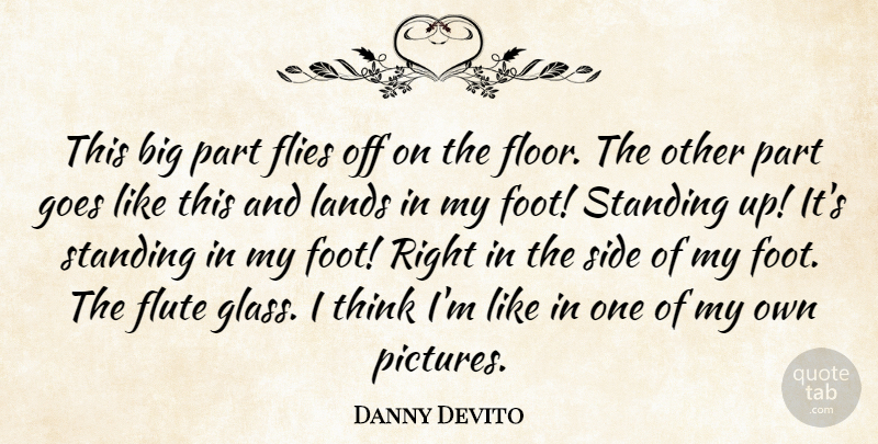Danny Devito Quote About Flies, Flute, Goes, Lands, Side: This Big Part Flies Off...