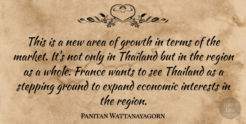 Panitan Wattanayagorn Quote About Area, Economic, Expand, France, Ground: This Is A New Area...