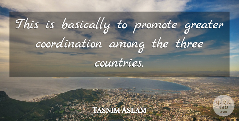 Tasnim Aslam Quote About Among, Basically, Greater, Promote, Three: This Is Basically To Promote...