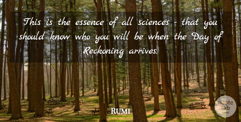 Rumi Quote About Essence, Reckoning, Should: This Is The Essence Of...