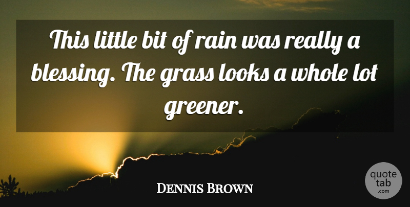 Dennis Brown Quote About Bit, Grass, Looks, Rain: This Little Bit Of Rain...