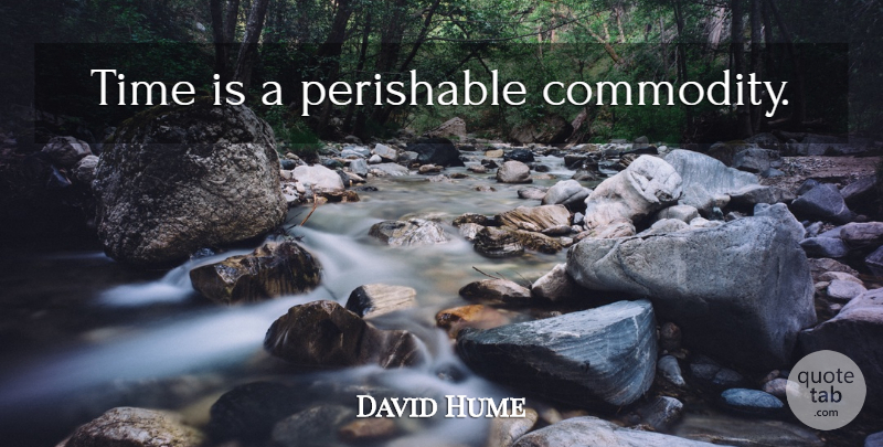 David Hume Quote About Time Management, Management, Commodity: Time Is A Perishable Commodity...