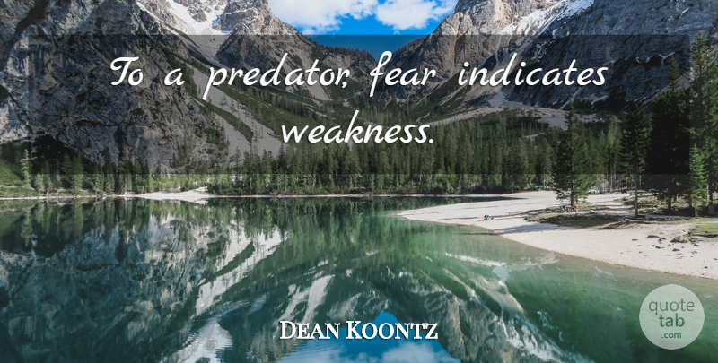 Dean Koontz Quote About Fear, Weakness, Predator: To A Predator Fear Indicates...