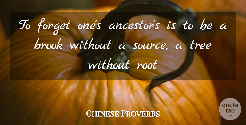 Chinese Proverbs Quote About Forget, Root, Tree: To Forget Ones Ancestors Is...