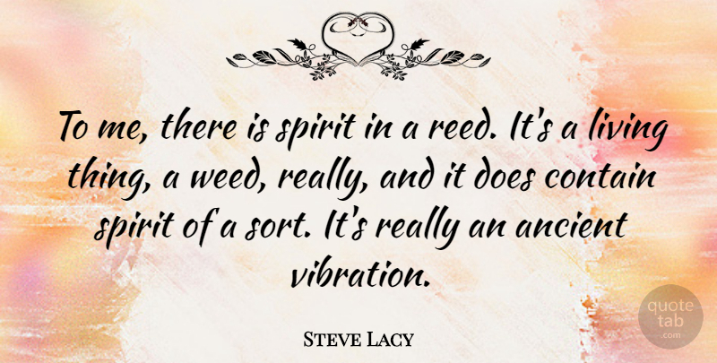 Steve Lacy Quote About Weed, Marijuana, Doe: To Me There Is Spirit...