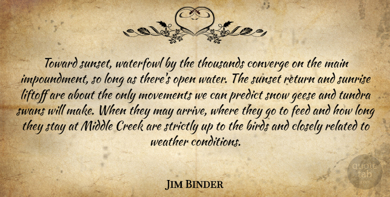 Jim Binder Quote About Birds, Closely, Converge, Creek, Feed: Toward Sunset Waterfowl By The...