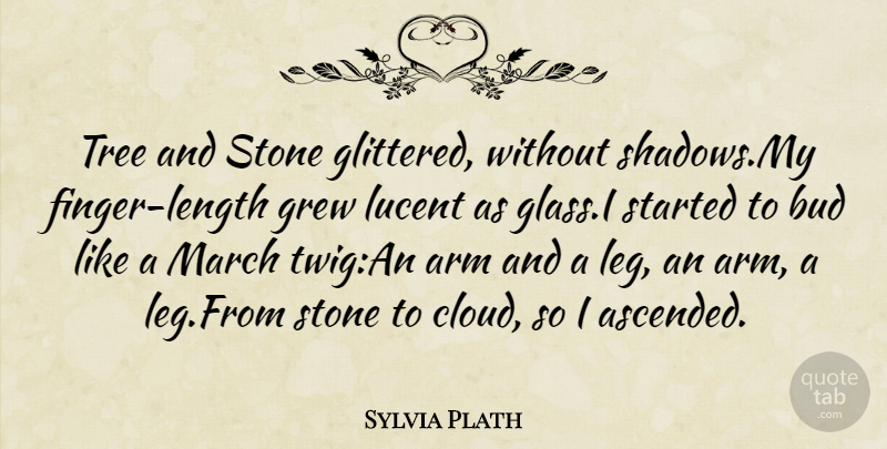 Sylvia Plath Quote About Arm, Bud, Grew, March, Stone: Tree And Stone Glittered Without...