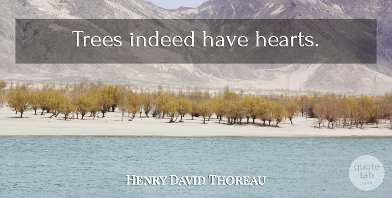 Henry David Thoreau Quote About Heart, Tree: Trees Indeed Have Hearts...