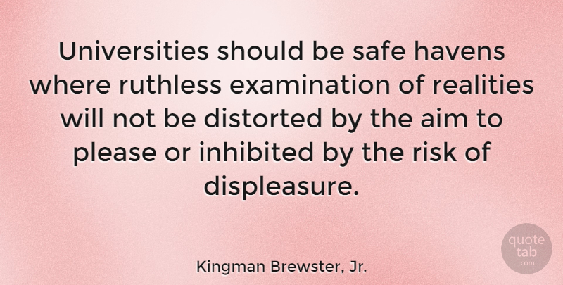 Kingman Brewster, Jr. Quote About Reality, Safe Haven, Risk: Universities Should Be Safe Havens...