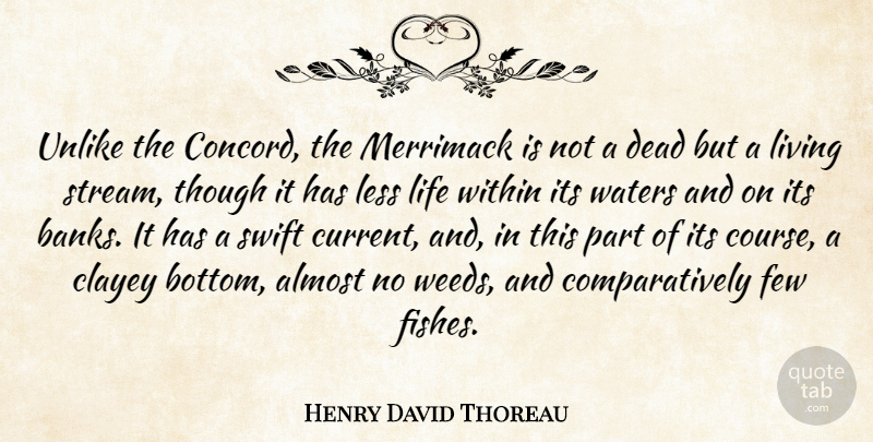 Henry David Thoreau Quote About Weed, Water, Currents: Unlike The Concord The Merrimack...