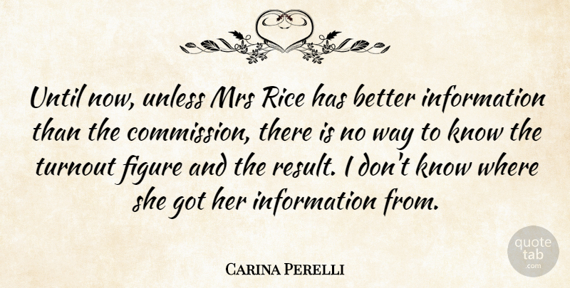 Carina Perelli Quote About Figure, Information, Mrs, Rice, Unless: Until Now Unless Mrs Rice...