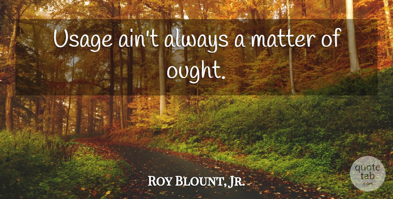 Roy Blount, Jr. Quote About Matter, Usage, Ought: Usage Aint Always A Matter...