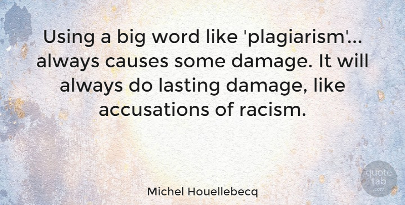 Michel Houellebecq Quote About Racism, Damage, Causes: Using A Big Word Like...