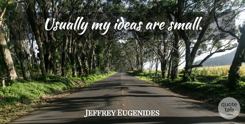 Jeffrey Eugenides Quote About Ideas: Usually My Ideas Are Small...