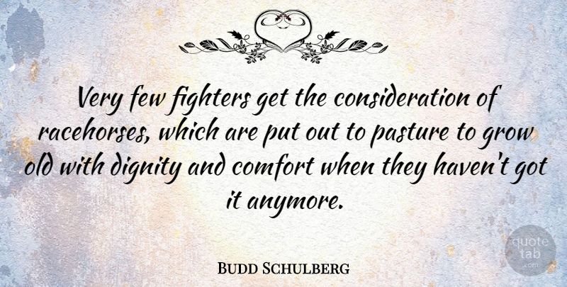 Budd Schulberg Quote About Comfort, Dignity, Fighter: Very Few Fighters Get The...
