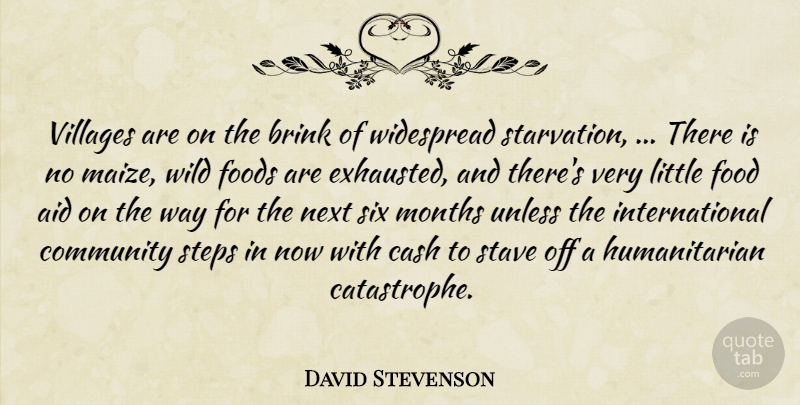 David Stevenson Quote About Aid, Brink, Cash, Community, Food: Villages Are On The Brink...