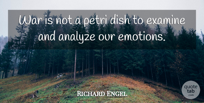Richard Engel Quote About Dish, Examine, War: War Is Not A Petri...
