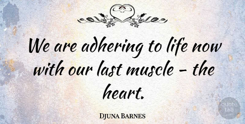 Djuna Barnes Quote About Heart, Lasts, Muscles: We Are Adhering To Life...