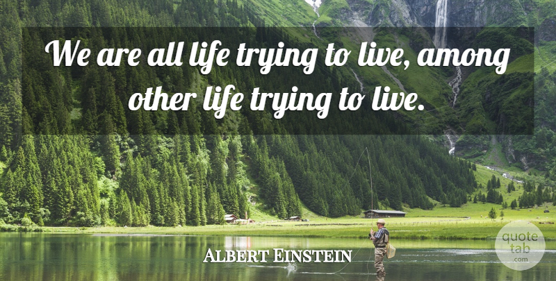 Albert Einstein Quote About Inspirational, Spiritual, Trying: We Are All Life Trying...