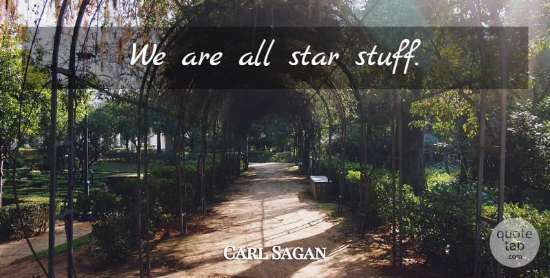 Carl Sagan Quote About Stars, Stuff, All Stars: We Are All Star Stuff...