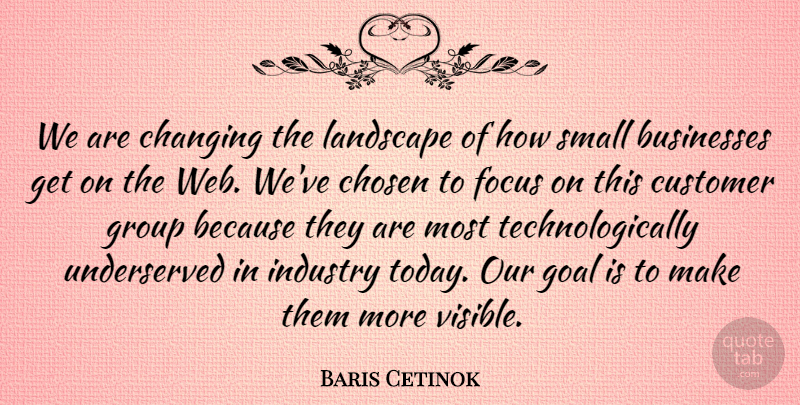 Baris Cetinok Quote About Businesses, Changing, Chosen, Customer, Focus: We Are Changing The Landscape...