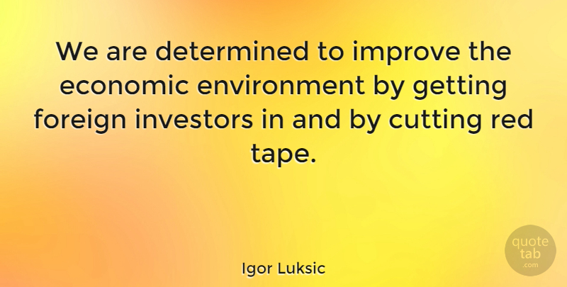 Igor Luksic Quote About Cutting, Determined, Environment, Foreign, Investors: We Are Determined To Improve...